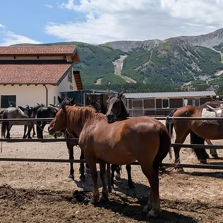 Casa Magnola - Casa vacanze