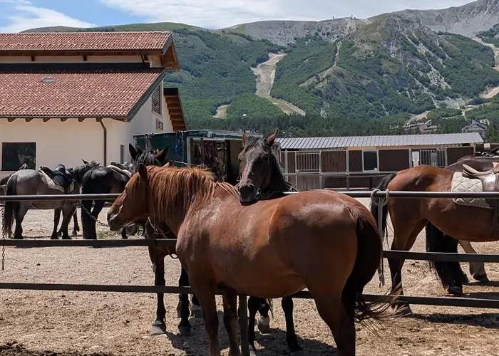 Casa Magnola - בית נופש